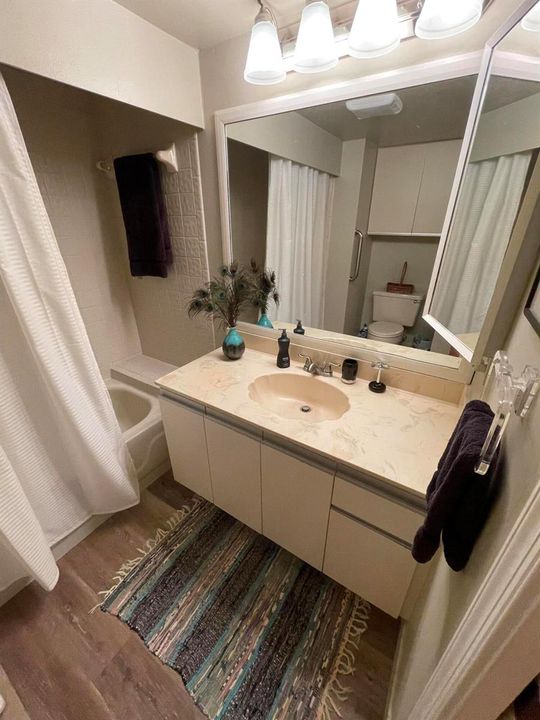 Master Bathroom in Master BR with tub an