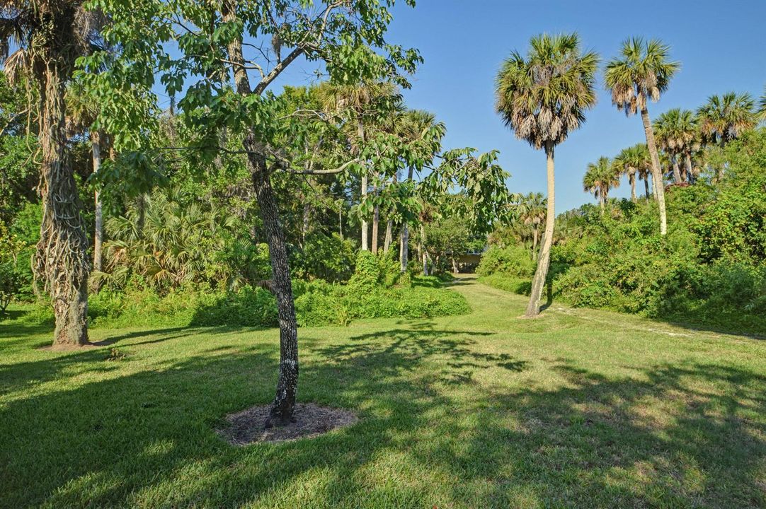 Back Property