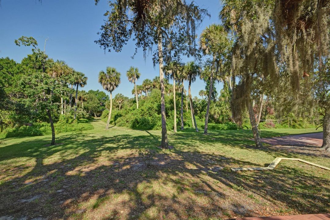 Back acreage/Yard