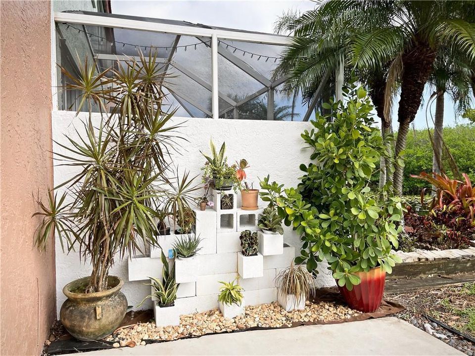 Backyard_h