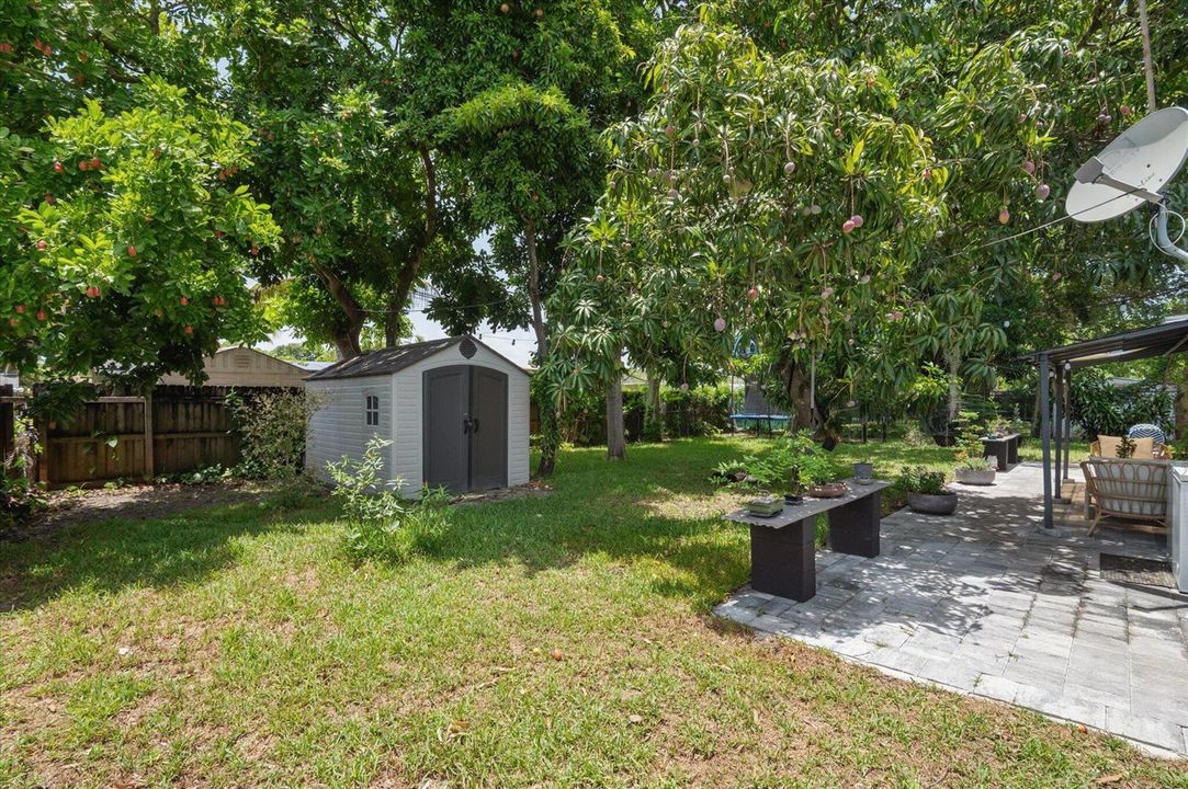 18-Crimaldi- 511 Carolina Ave-18