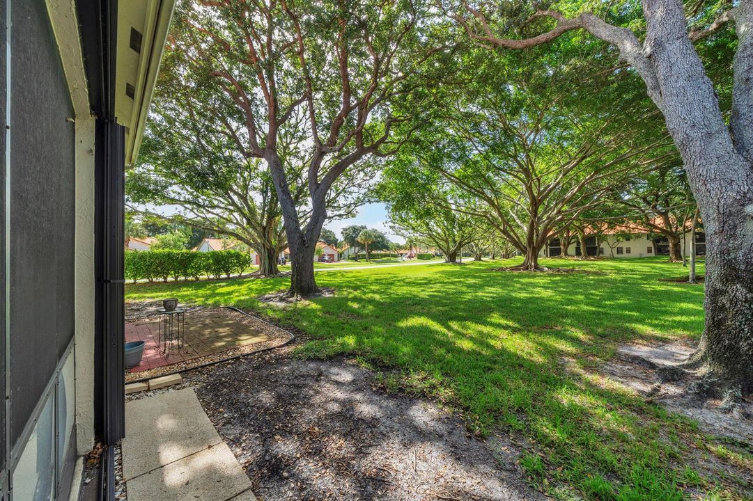 12 Backyard (1)