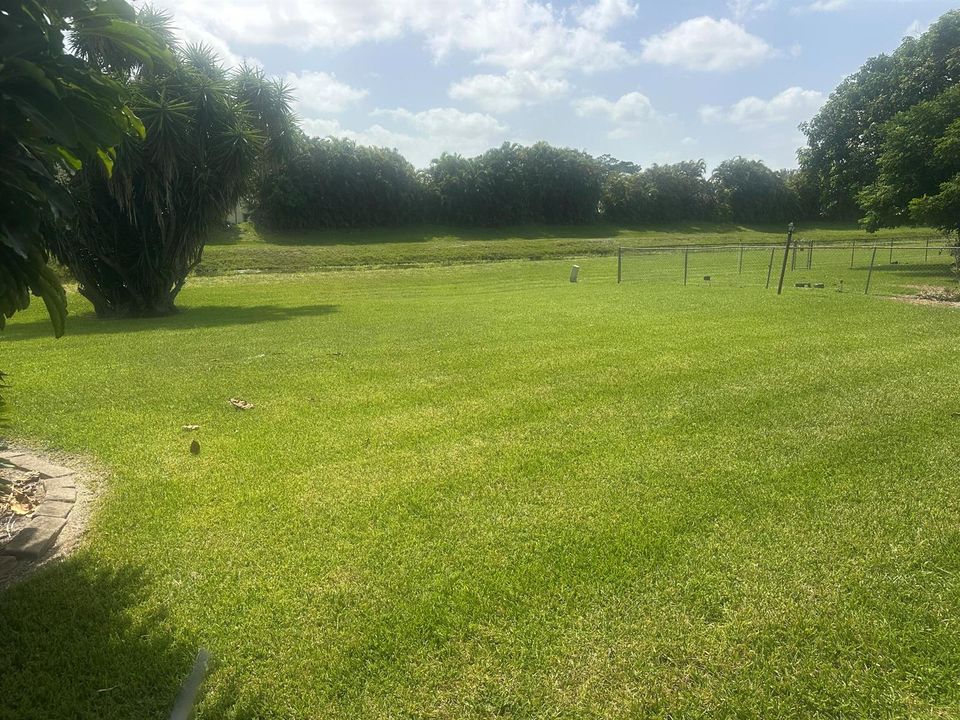 Backyard