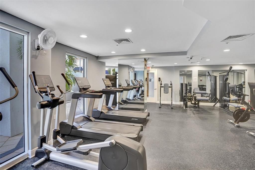 Strand 501 gym