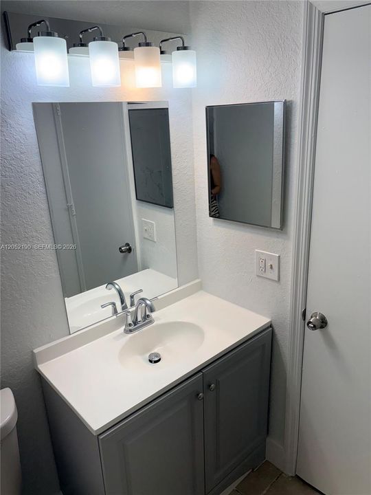 new vanity, new mirror, new medicine cabinet, new toilet