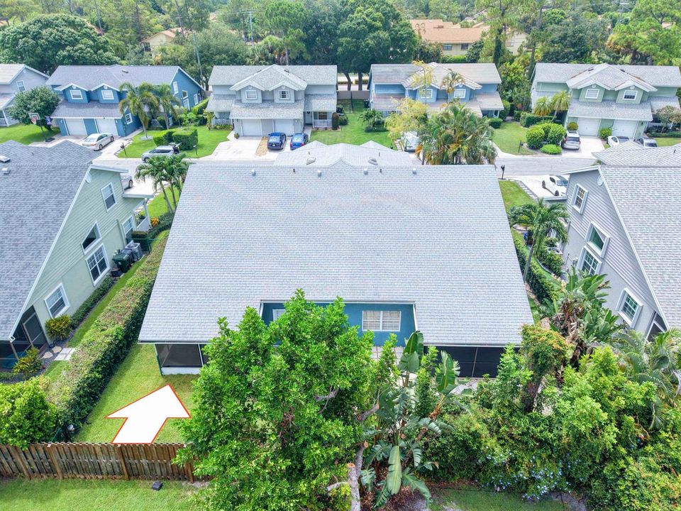 Aerial Rear