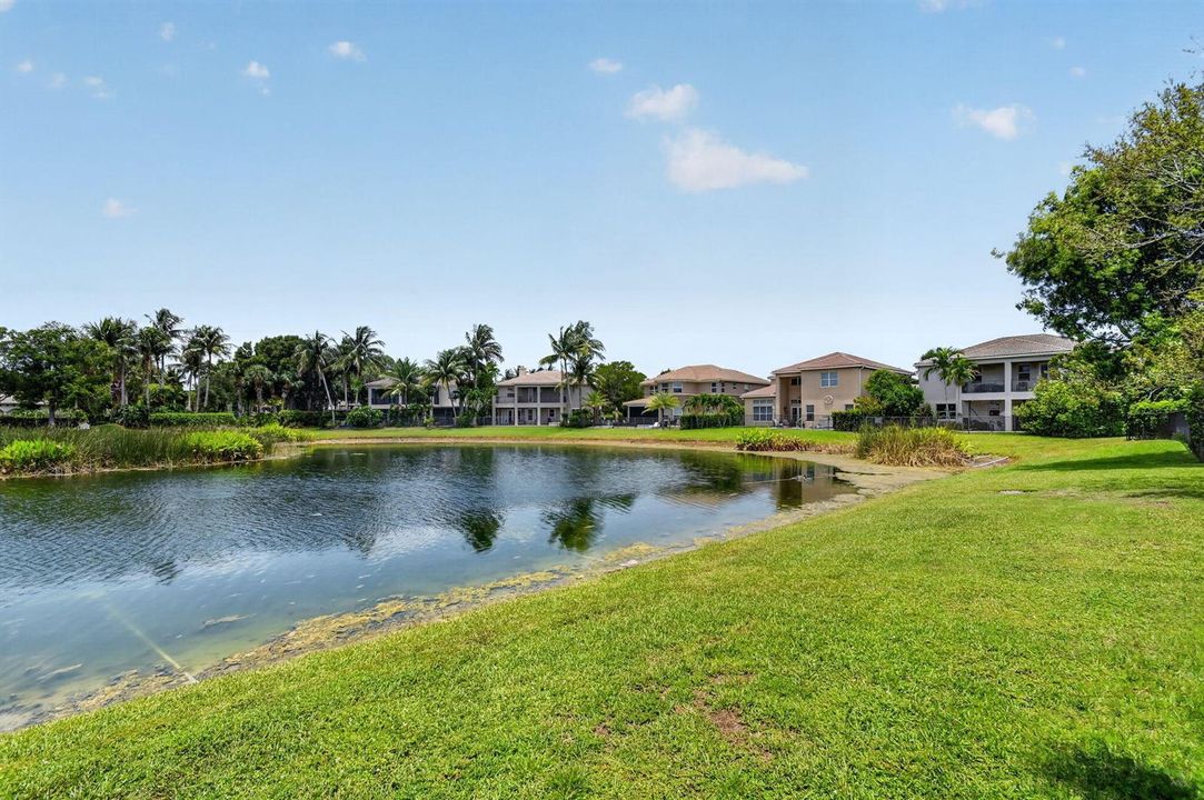 lake view