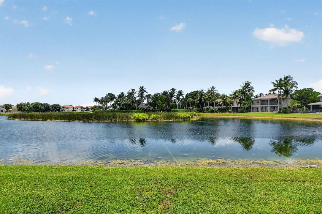 lake view