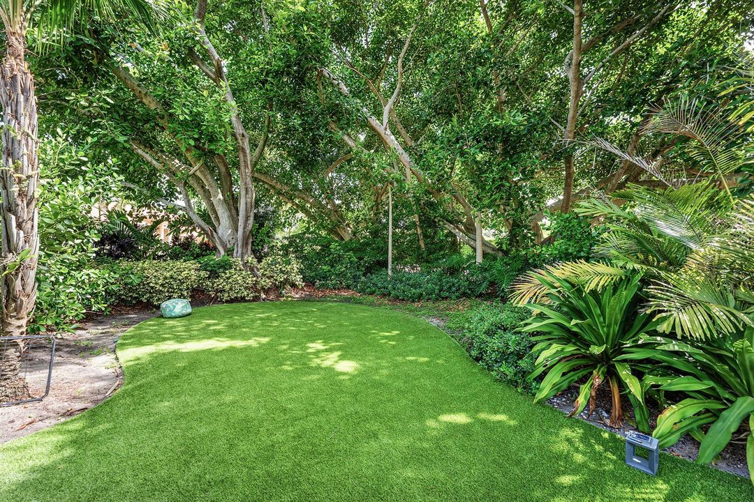 Side Yard