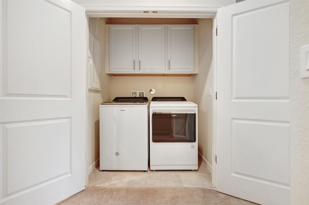 32-web-or-mls-632A5952