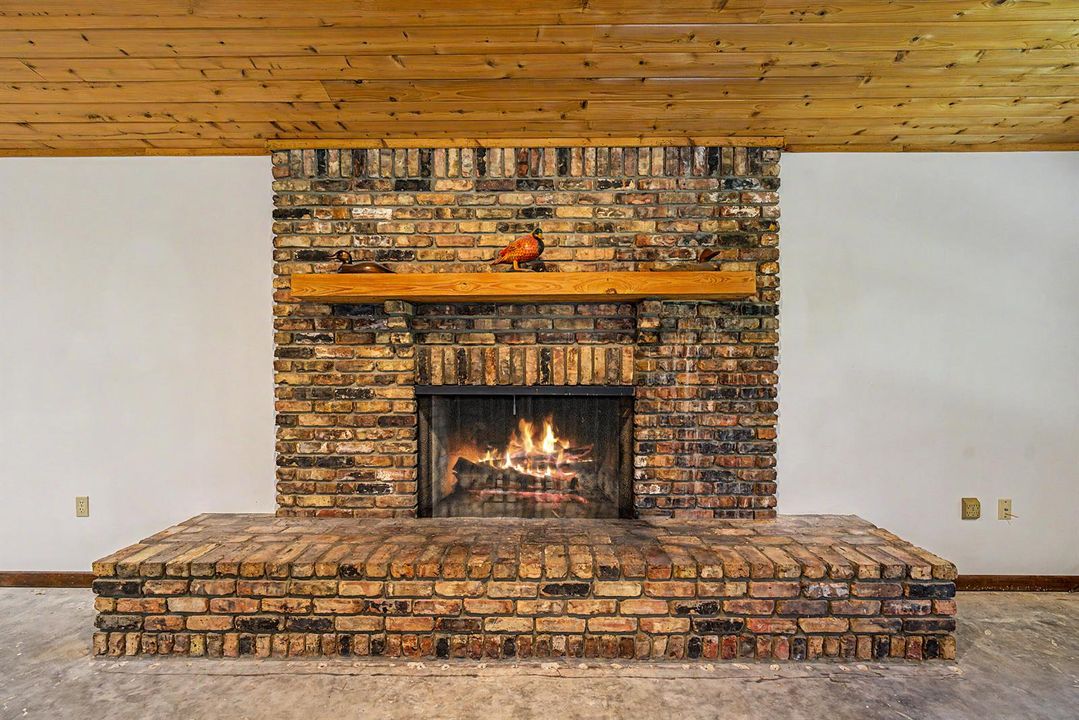 Working Fire Place