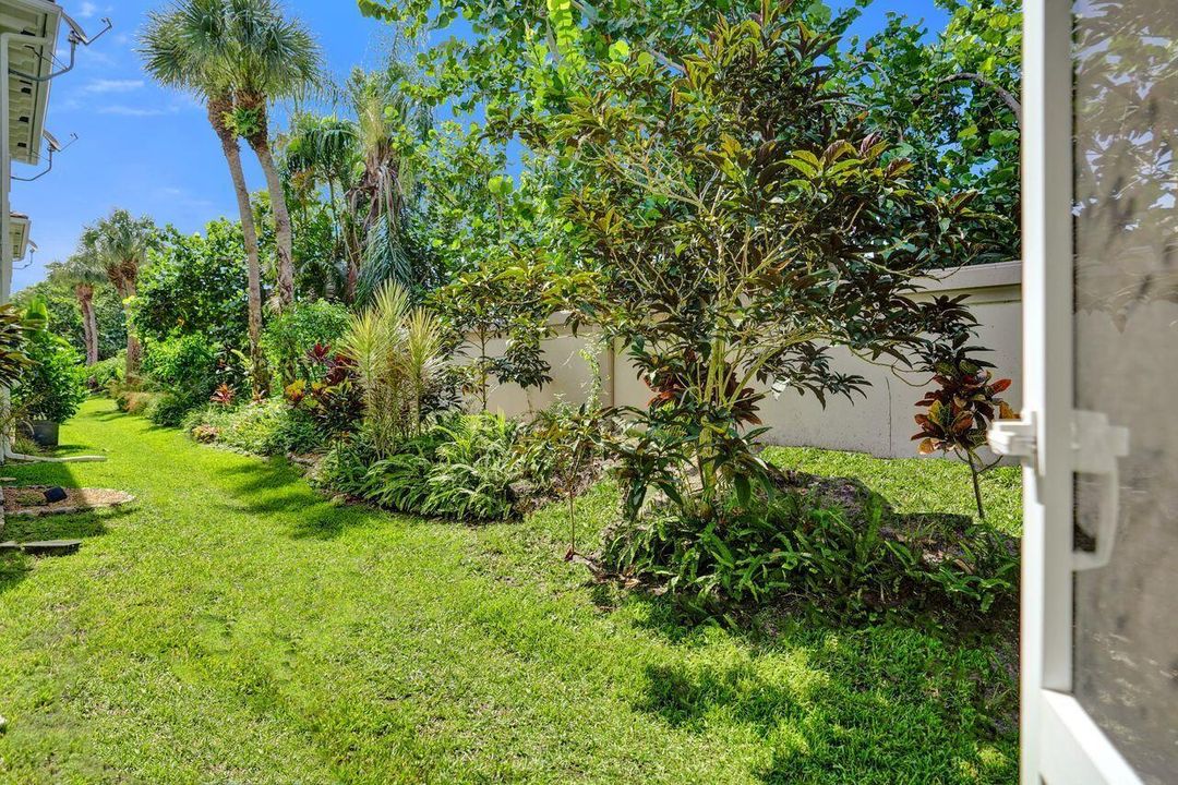 Yard