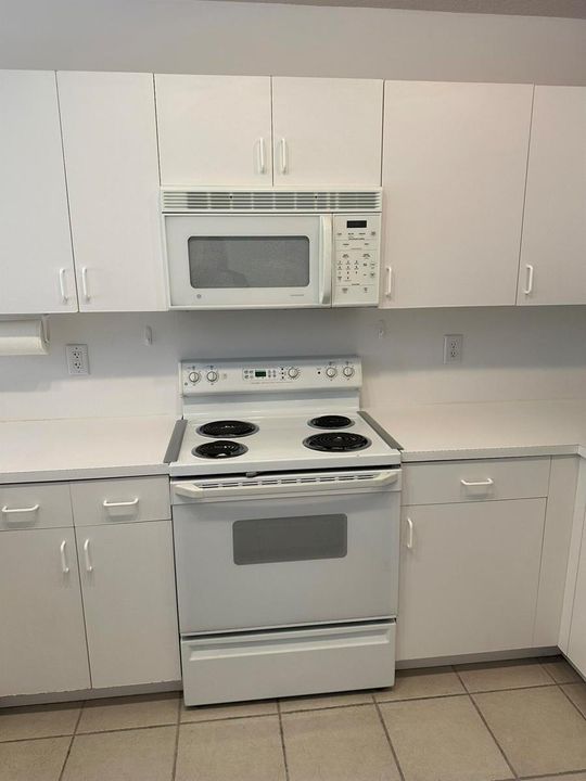 Mogel kitchen 2