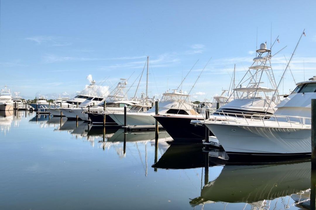 Old Port Cove Yachts