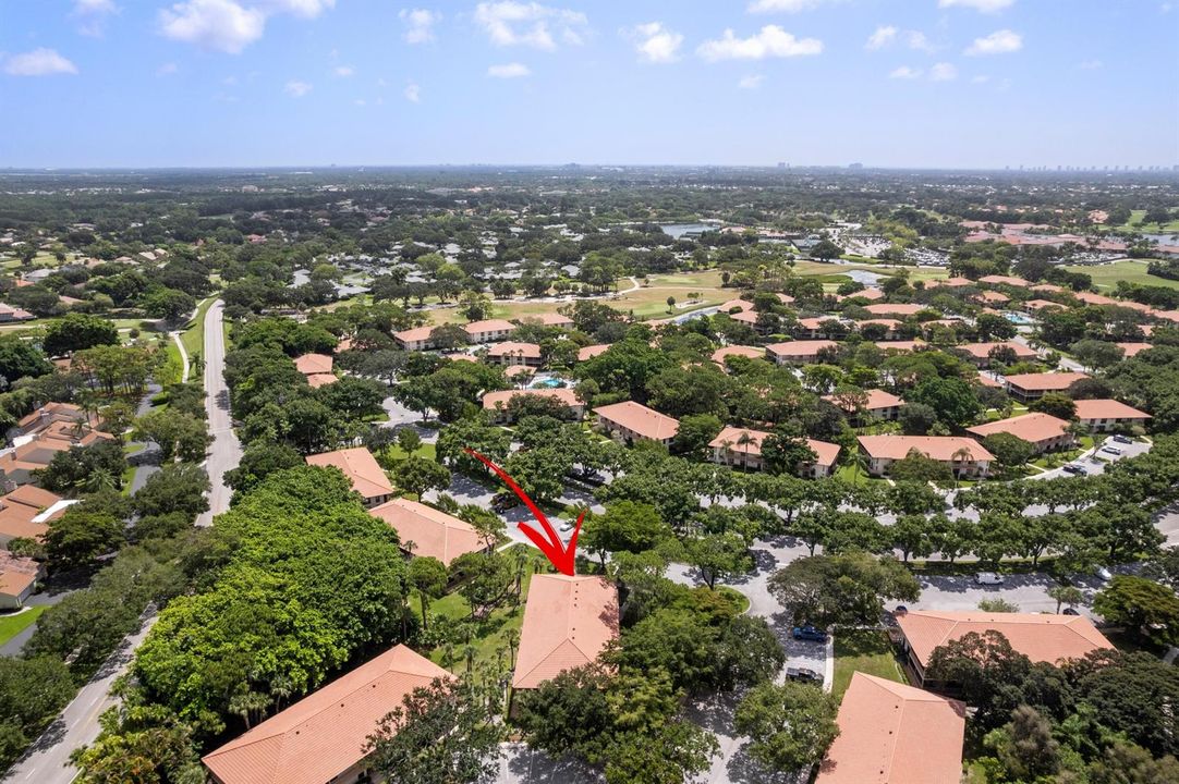 DJI_0310-Edit.jpg-SMALL