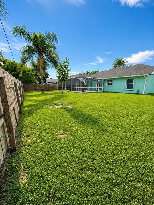 Backyard 2