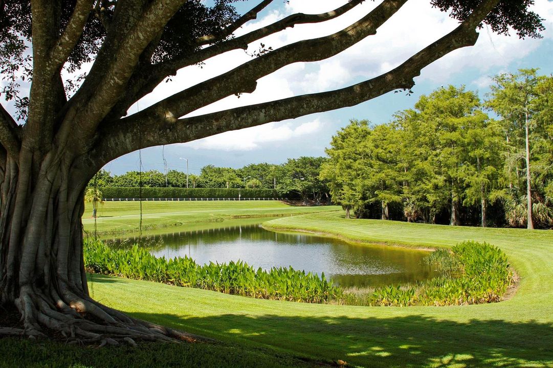 10 Florida's Natural Beauty
