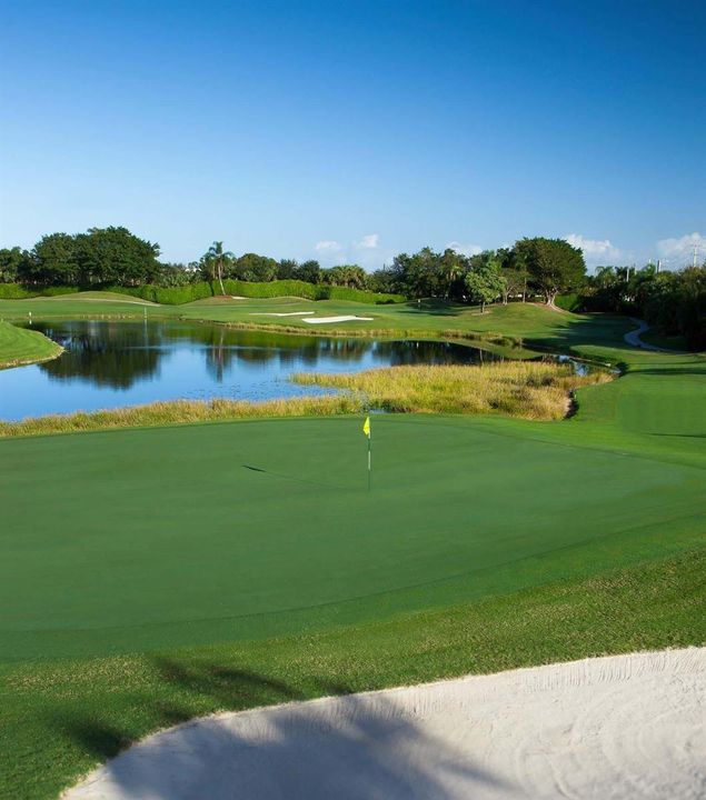 11 Golf Course
