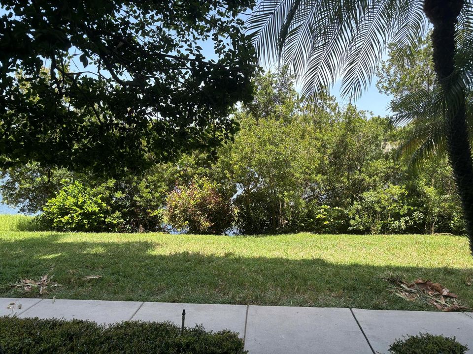 Patio and walk way