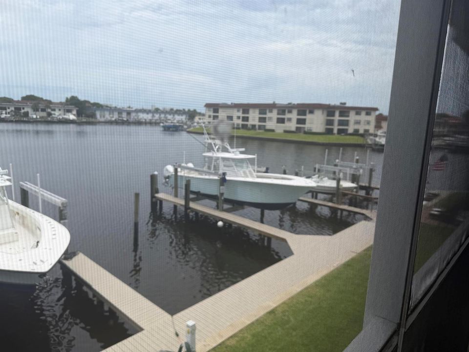 Patio view