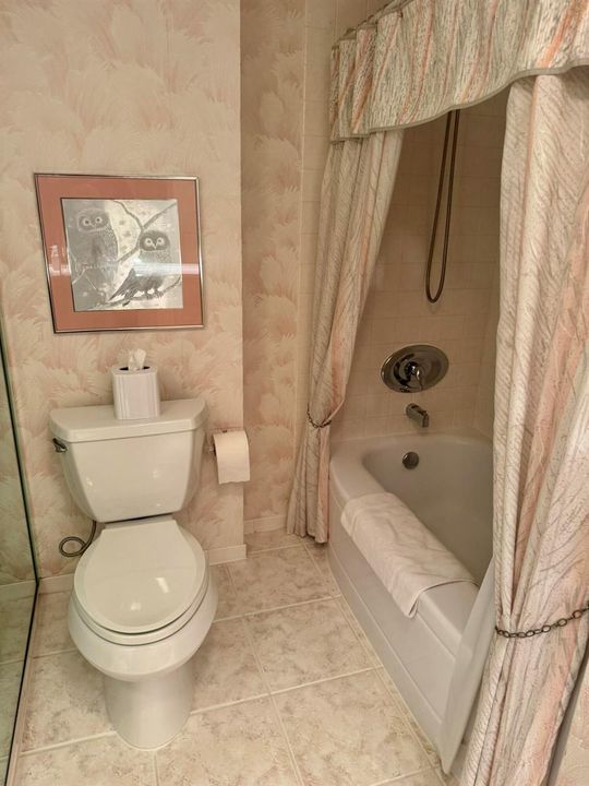 Primary Bath Pic 2