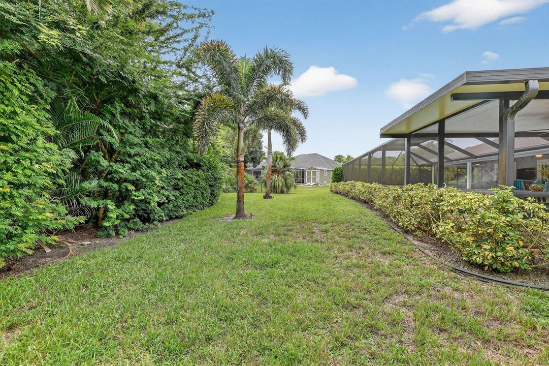 Back yard