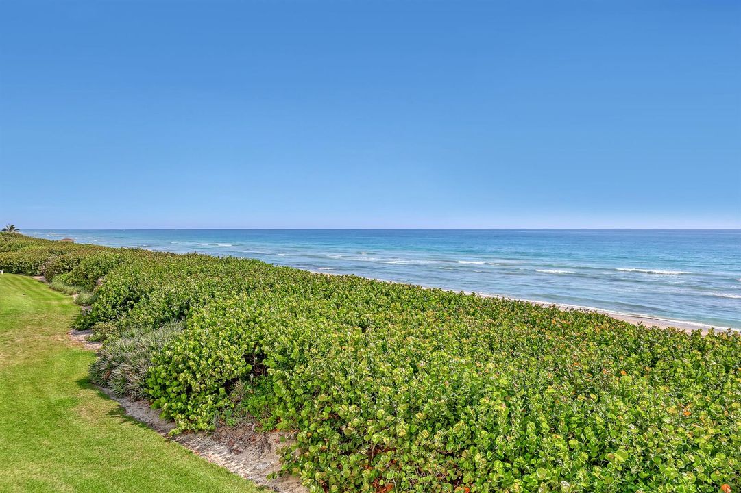 7430 S Ocean #319 (30)