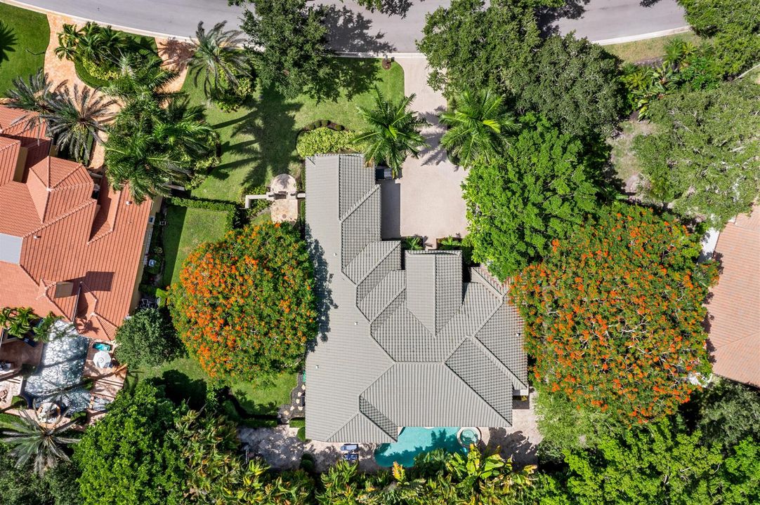 DJI_0538