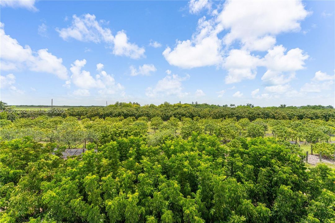 En Venta: $2,650,000 (0 camas, 0 baños, 0 Pies cuadrados)