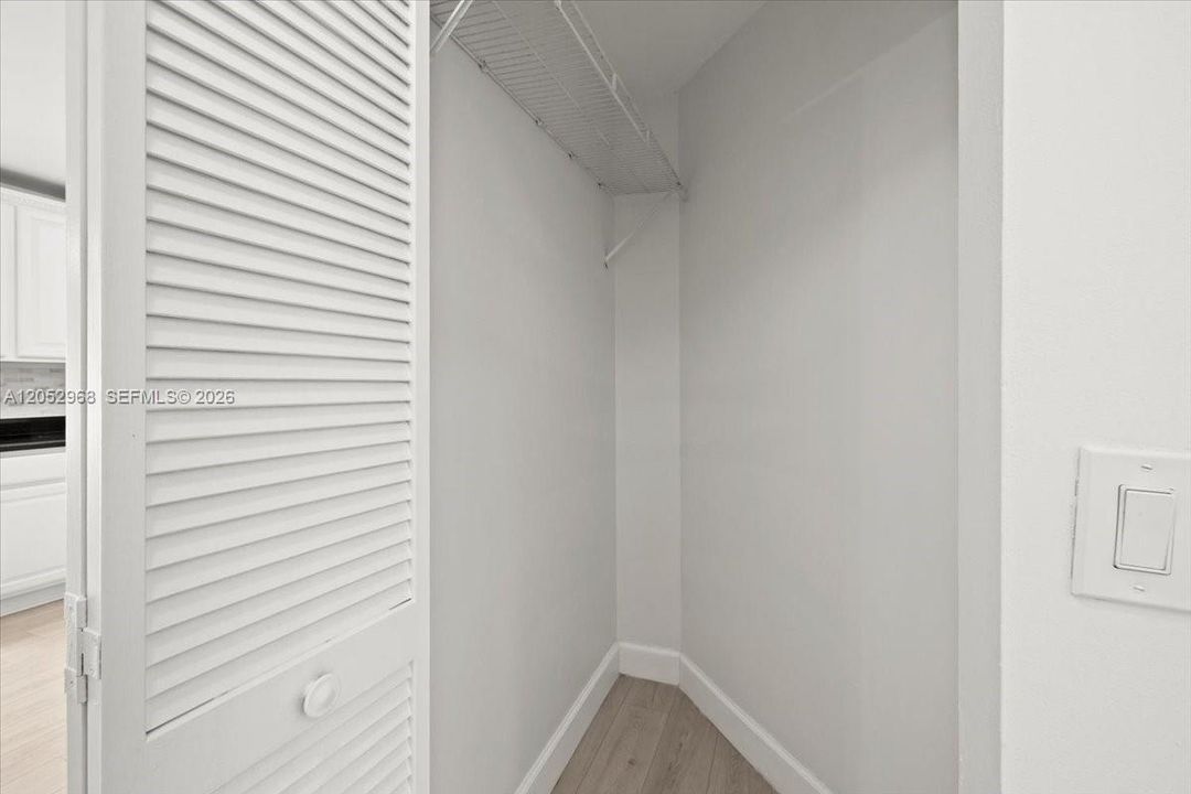 Downstairs Extra Closet