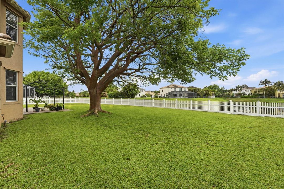 25-web-or-mls-DSC06529