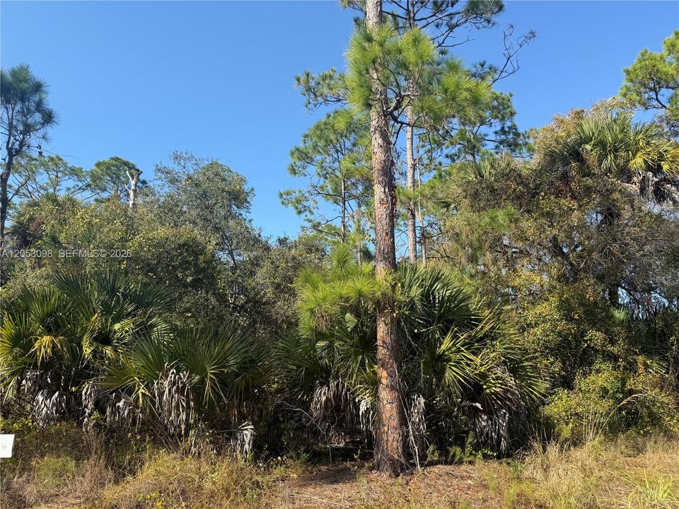 На продажу: $49,999 (1.25 acres)