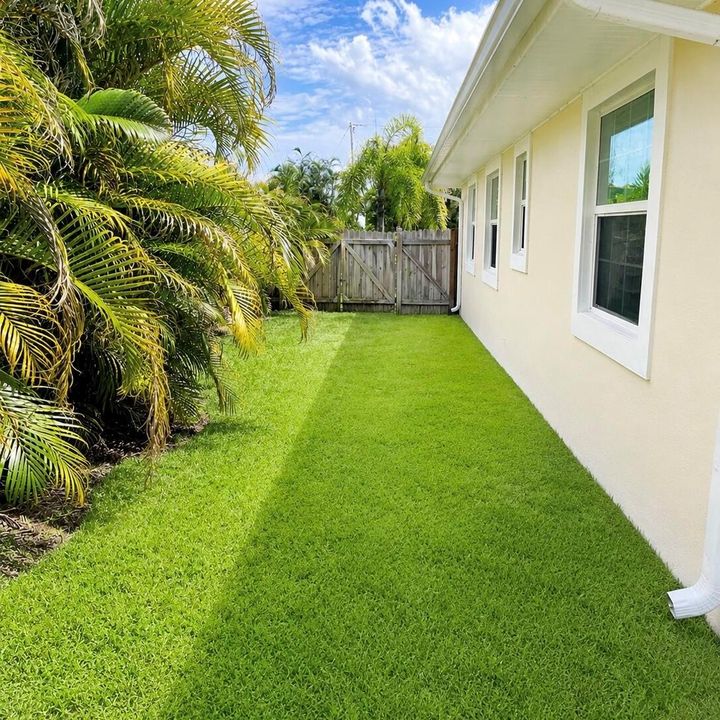 Side of house