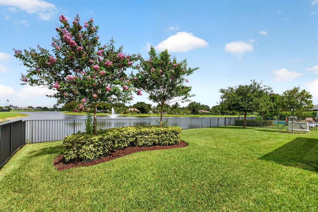 54-web-or-mls-699A3888