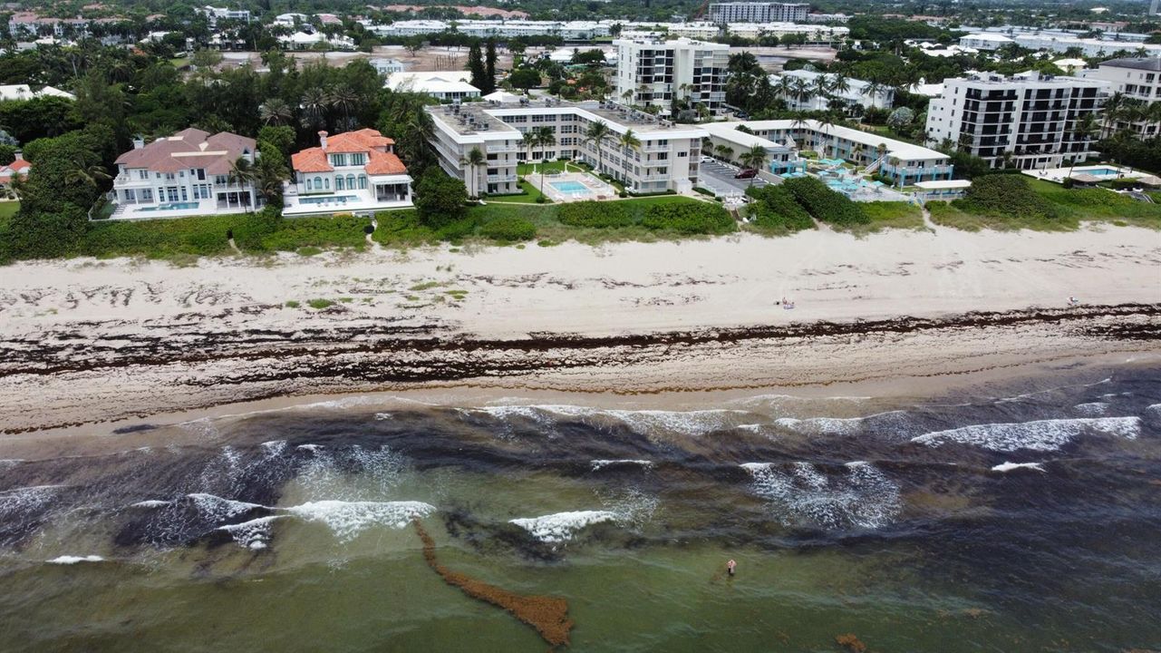 dji_fly_20260711_124302_97_1783788298525