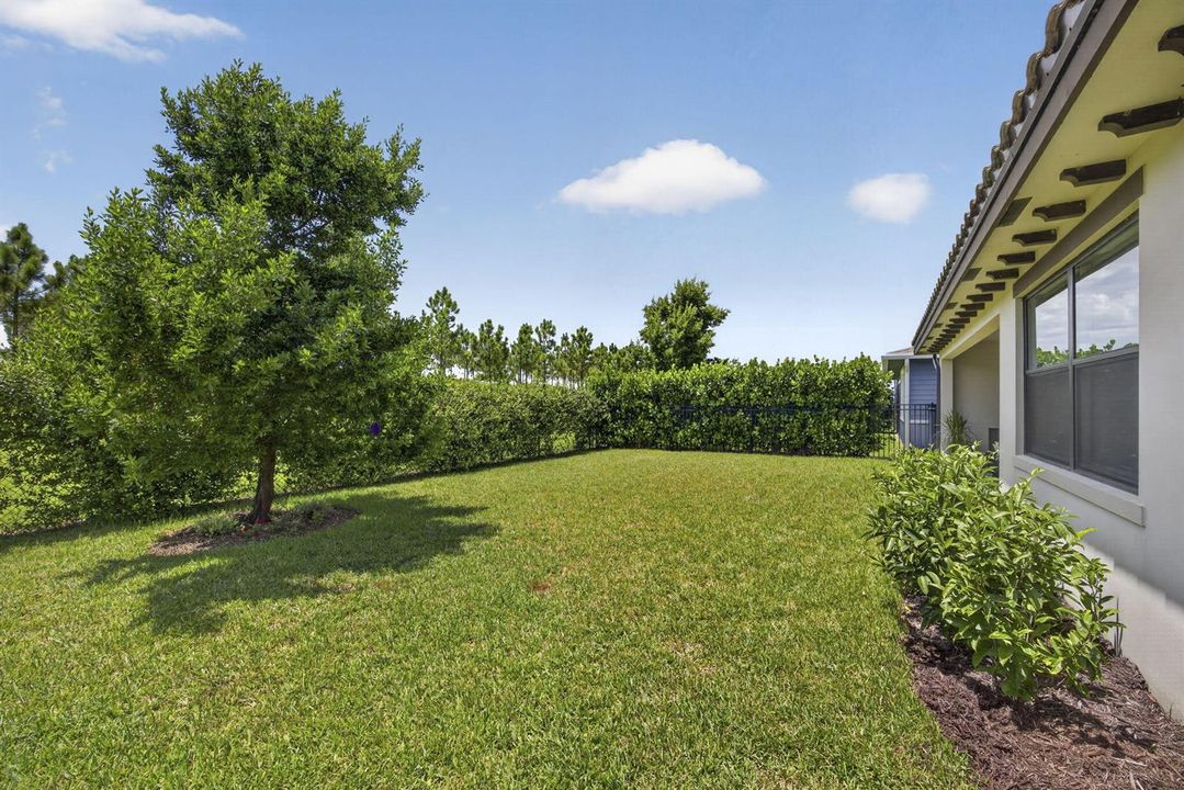52-web-or-mls-BS1A9661
