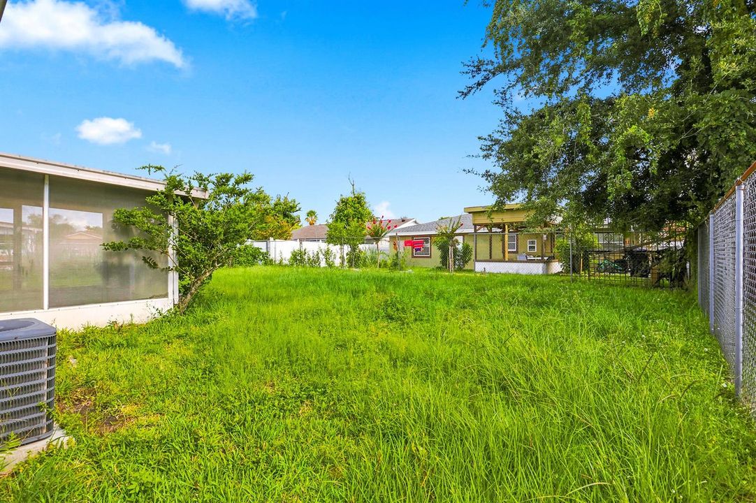 Large Backyard