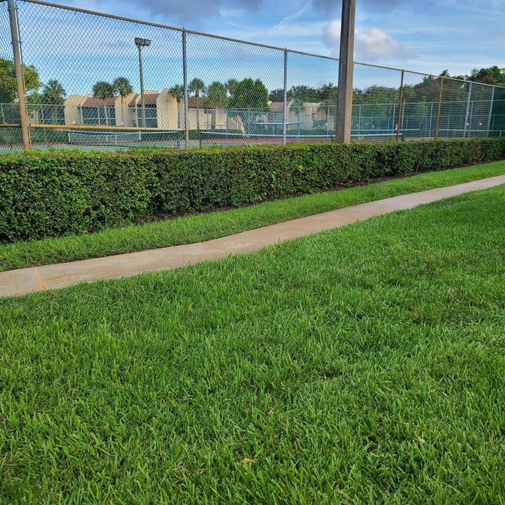 sidewalks