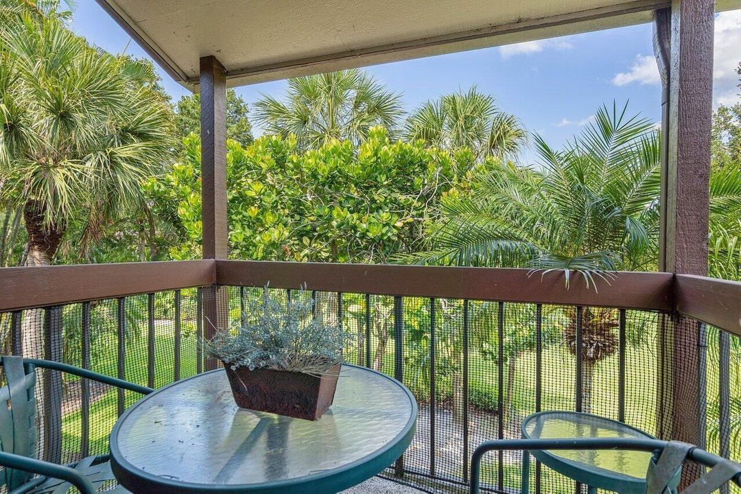 Patio view