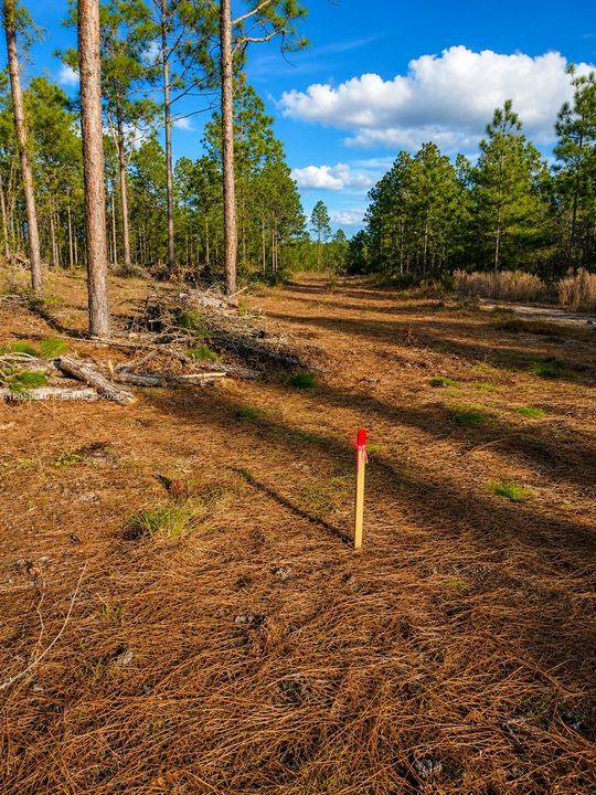 En Venta: $11,900 (0.20 acres)