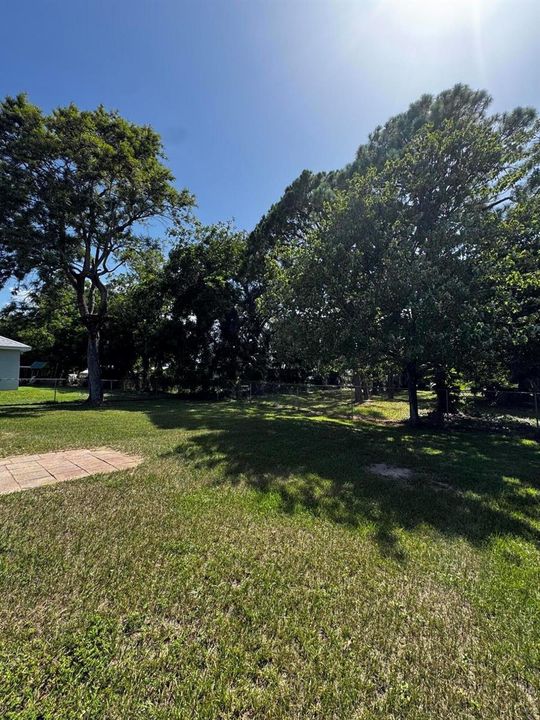 Back Yard