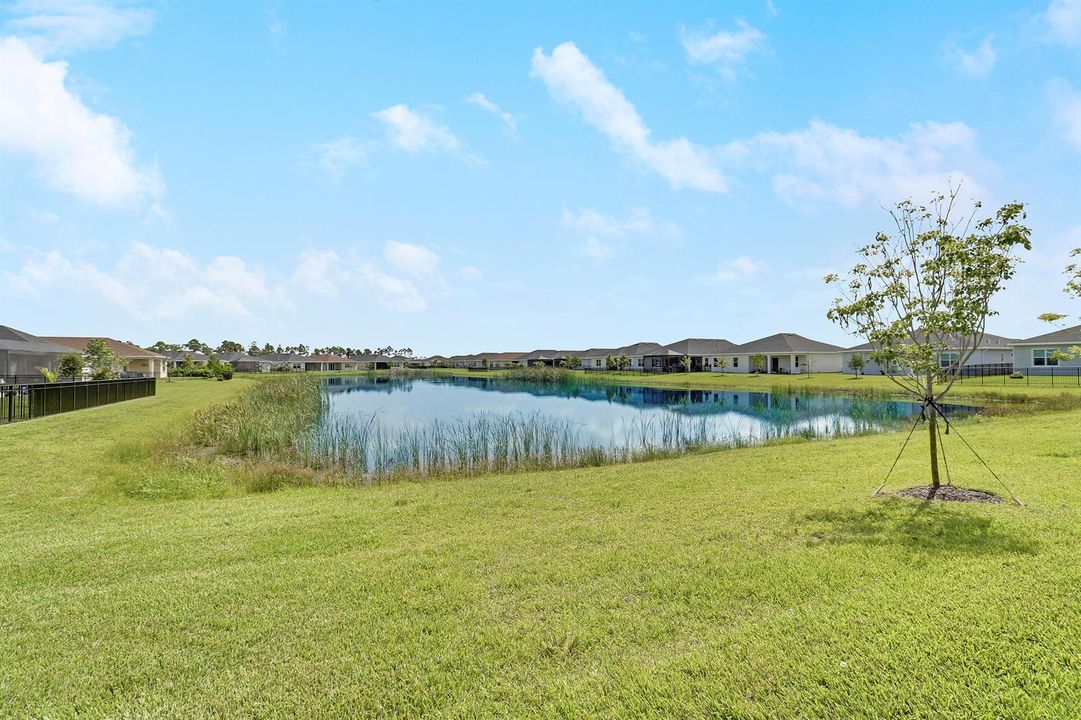 Lake Views