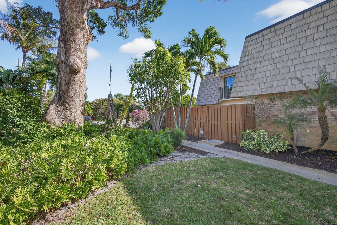 5-web-or-mls-5D1A3978