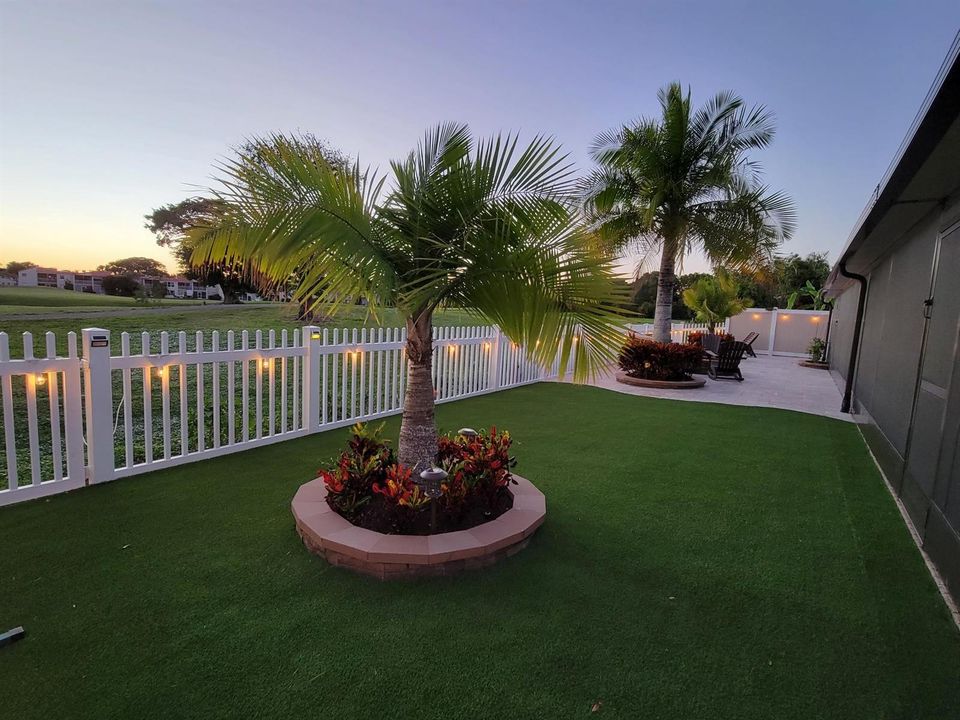 backyard 1
