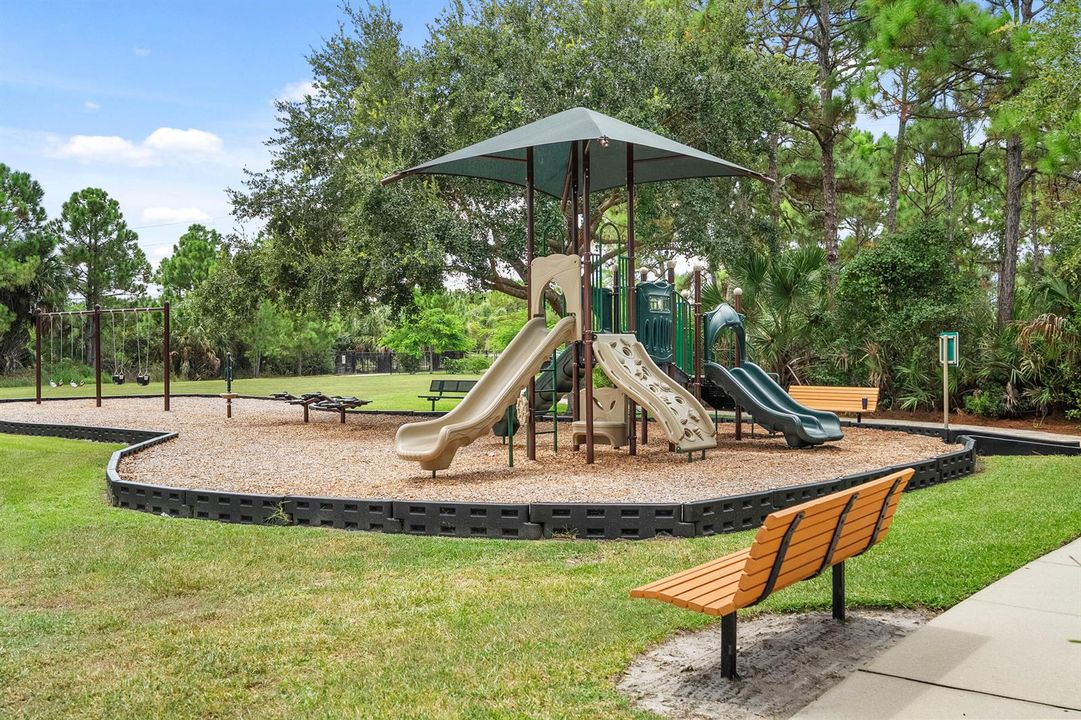 DSC00101
