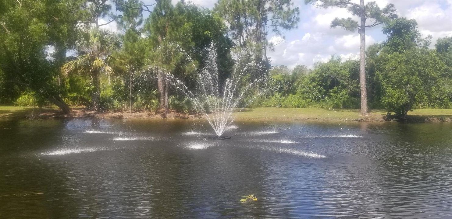 Community Lake