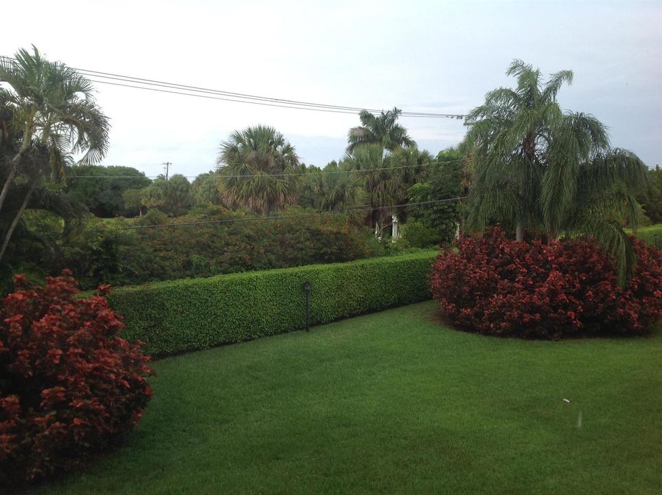VIEW FROM LANAI