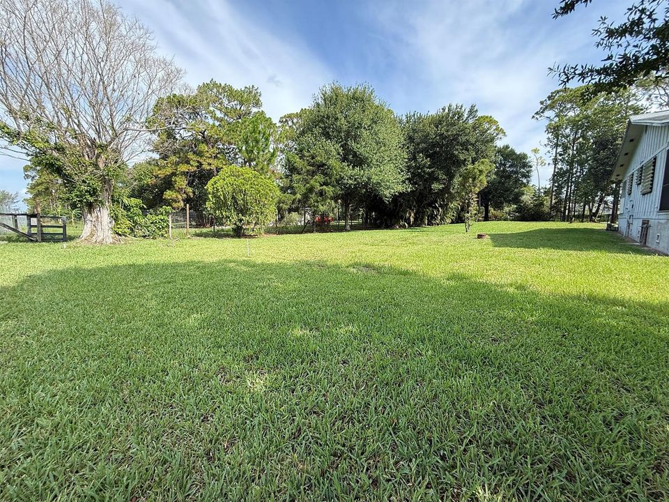 Front Yard North Side
