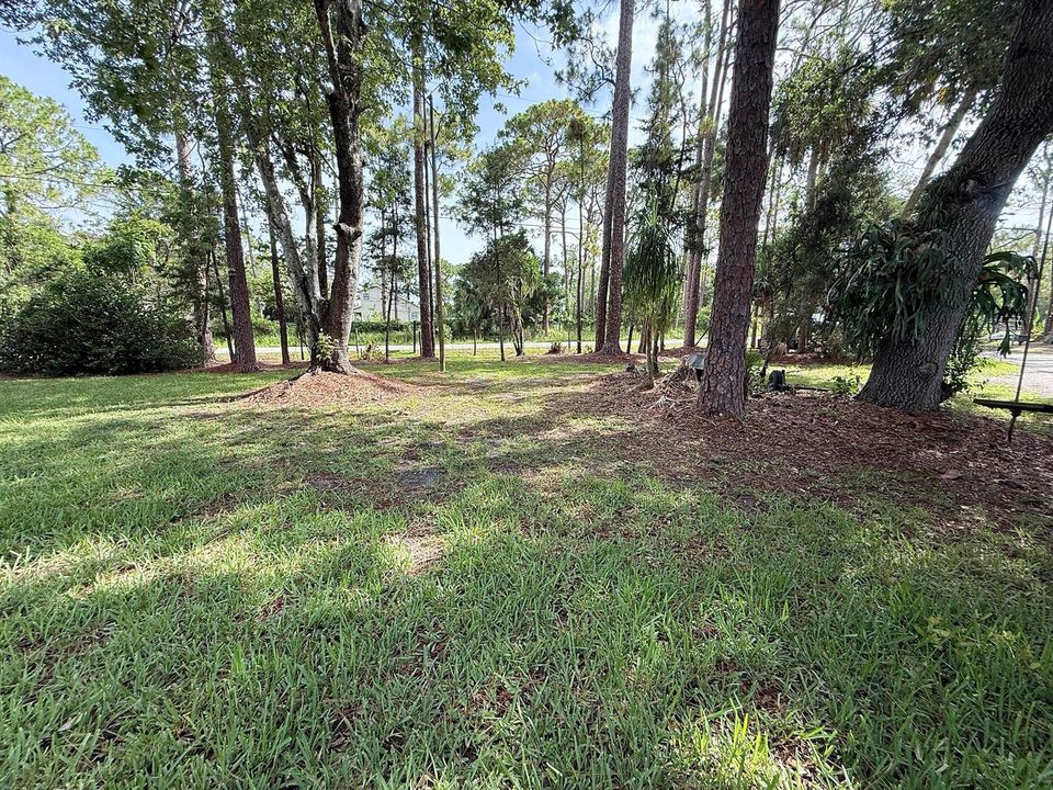 Front Yard Facing Street