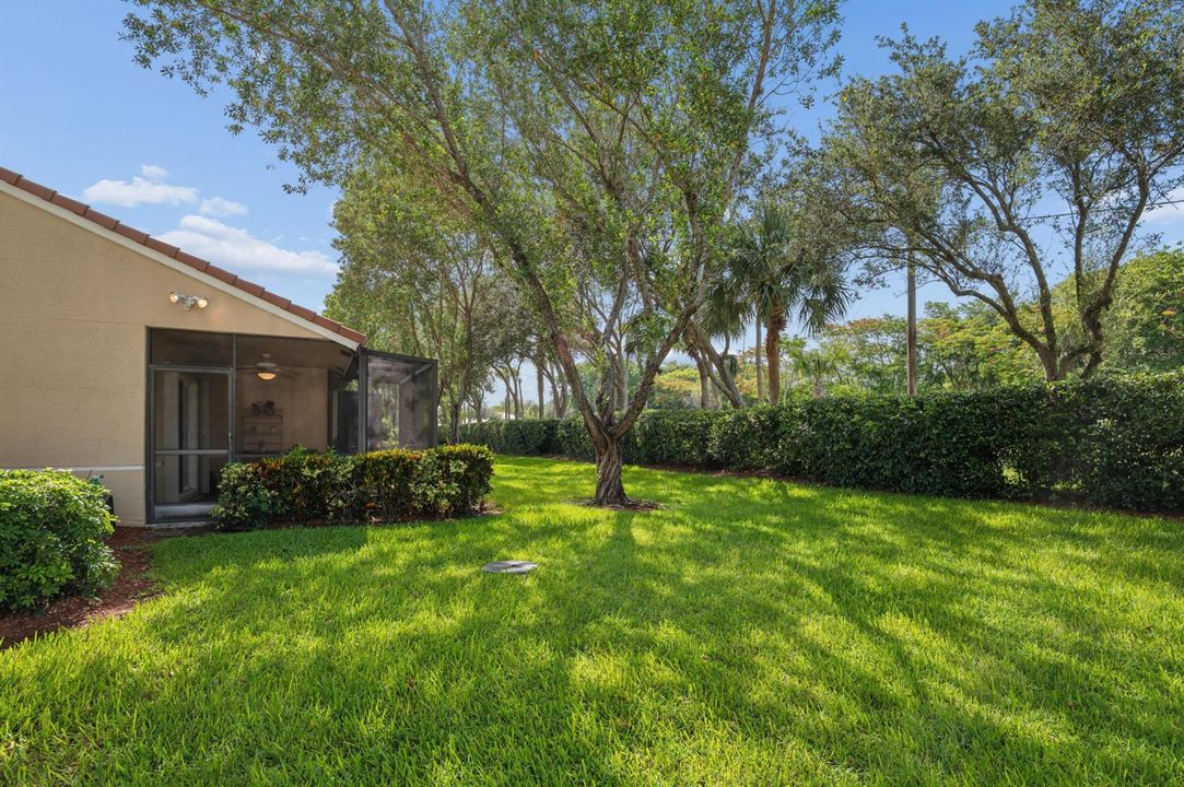 Green Space Backyard